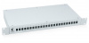 Cabeus FO-19-24SC Кросс бокс оптический 19" на 24 SC (LC duplex) со сплайс-кассетой и КДЗС (без пигтейлов и проходных адаптеров)